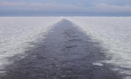 ������������ ���� � ������� ����